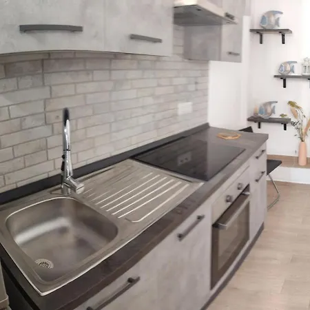 Quercus Ilex A In The Historic Center *