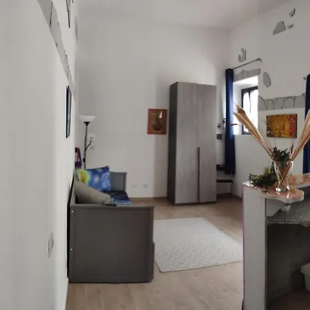 Quercus Ilex A In The Historic Center *